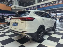 Haval H6 National Trend Edition 1.5T Automatic Urban Version - ფოტო 6