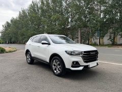 Haval H6 2021 National Trend 1.5T Automatic Champion Edition - ფოტო 3