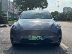 Tesla Model Y Long Range All-Wheel Drive - ფოტო 1