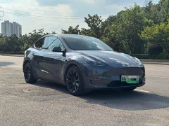 Tesla Model Y Long Range All-Wheel Drive - ფოტო 2