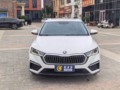 Skoda Octavia PRO TSI280 Premium Edition - ფოტო 1