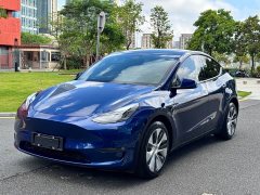 Tesla Model Y Long Range All-Wheel Drive - ფოტო 1