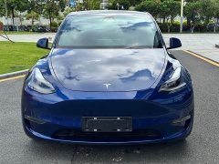 Tesla Model Y Long Range All-Wheel Drive - ფოტო 2