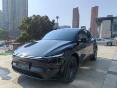 Tesla Model Y Rear-Wheel Drive - ფოტო 1