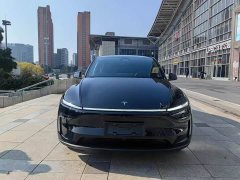 Tesla Model Y Rear-Wheel Drive - ფოტო 2
