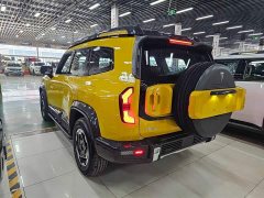 Deepal Deep Blue G318 Worry-Free Adventure Edition Four-Wheel Drive Mystic Realm Edition - ფოტო 3
