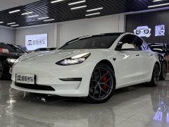 Tesla Model 3 Performance All-Wheel Drive - ფოტო 1