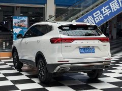 Haval H6 2021 National Trend Edition 1.5T Automatic Urban Version - ფოტო 13