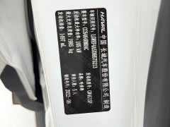 Haval H6 2021 National Trend Edition 1.5T Automatic Urban Version - ფოტო 15