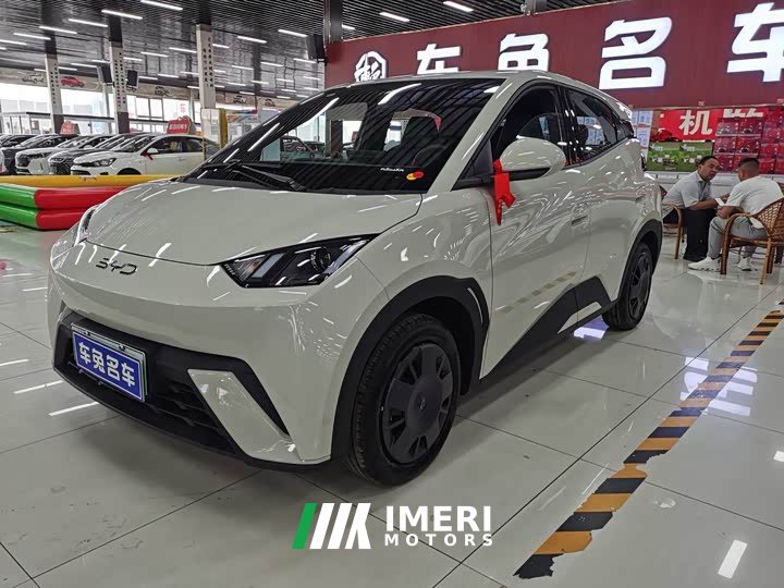 BYD Seagull 2025 Smart Drive 305km Vitality Edition - ავტომობილი ჩინეთიდან