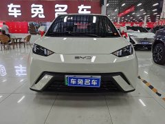 BYD Seagull 2025 Smart Drive 305km Vitality Edition - ფოტო 10