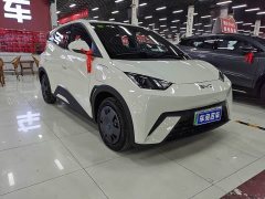 BYD Seagull 2025 Smart Drive 305km Vitality Edition - ფოტო 5
