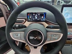 BYD Seagull 2025 Smart Drive 305km Vitality Edition - ფოტო 9