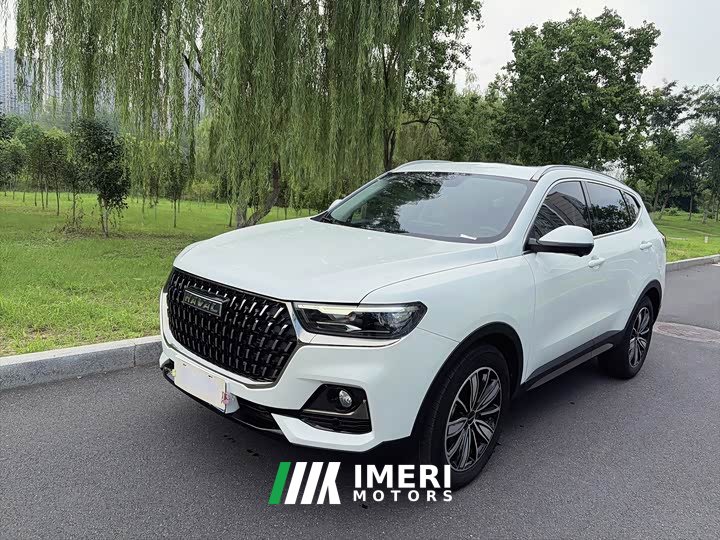 Haval H6 National Trend Edition 1.5T Automatic Champion Version - ავტომობილი ჩინეთიდან