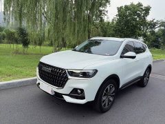 Haval H6 National Trend Edition 1.5T Automatic Champion Version - ფოტო 1
