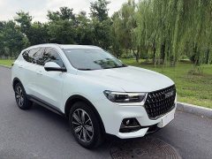 Haval H6 National Trend Edition 1.5T Automatic Champion Version - ფოტო 3