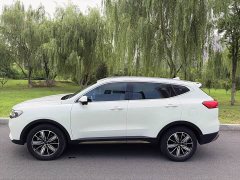 Haval H6 National Trend Edition 1.5T Automatic Champion Version - ფოტო 4