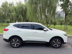 Haval H6 National Trend Edition 1.5T Automatic Champion Version - ფოტო 5