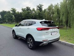 Haval H6 National Trend Edition 1.5T Automatic Champion Version - ფოტო 6