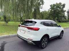 Haval H6 National Trend Edition 1.5T Automatic Champion Version - ფოტო 8