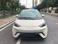 BYD Seagull Flying Edition - ფოტო 2