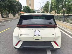 BYD Seagull Flying Edition - ფოტო 8