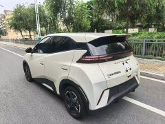 BYD Seagull Flying Edition - ფოტო 9