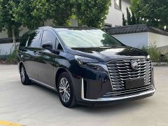 Buick GL8 ES Luxe Enjoyment Edition - ფოტო 12