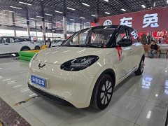 Wuling Binguo 333km Lingxi Premium Edition - ფოტო 1