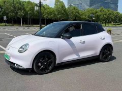 ORA Good Cat 400km Standard Range Athena Edition Ternary Lithium - ფოტო 1