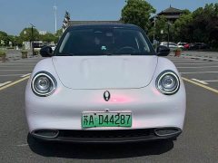 ORA Good Cat 400km Standard Range Athena Edition Ternary Lithium - ფოტო 2