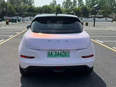 ORA Good Cat 400km Standard Range Athena Edition Ternary Lithium - ფოტო 8