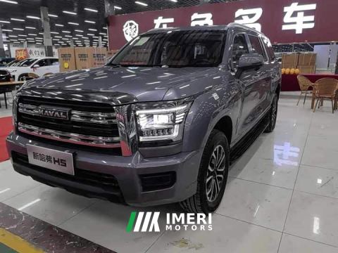 2025 Haval H5 2.0T Automatic 2WD Leading Edition Gasoline