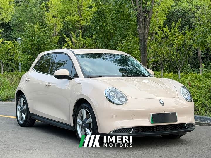 ORA Good Cat GT 2023 Mulan Edition 401km Prestige - ავტომობილი ჩინეთიდან