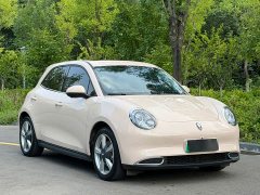 ORA Good Cat GT 2023 Mulan Edition 401km Prestige - ფოტო 1