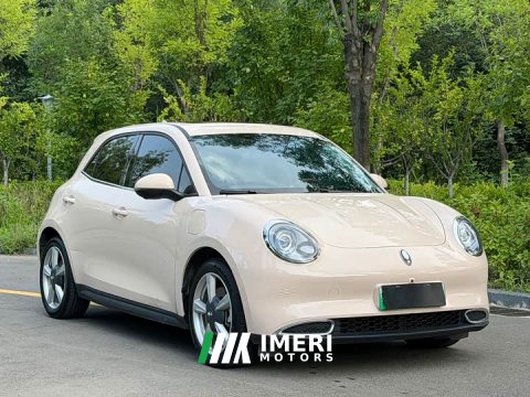 2024 ORA Good Cat GT 2023 Mulan Edition 401km Prestige - ავტომობილი ჩინეთიდან