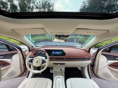 ORA Good Cat GT 2023 Mulan Edition 401km Prestige - ფოტო 14