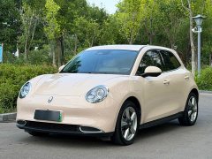 ORA Good Cat GT 2023 Mulan Edition 401km Prestige - ფოტო 3