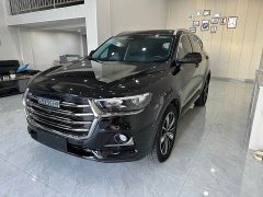 Haval H6 National Trend Edition 1.5T Automatic Champion Version - ფოტო 1