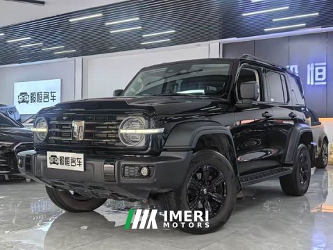 2023 Tank 300 2024 2.0T Conqueror - ავტომობილი ჩინეთიდან