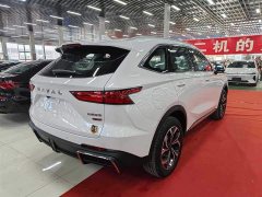 Haval Xiaolong MAX 1.5L Hi4 105 AWDFlagship Edition - ფოტო 5