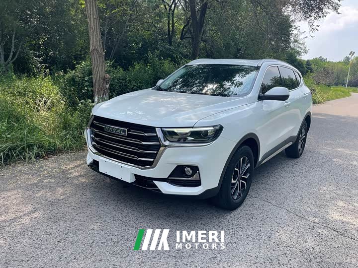 Haval H6 2023 National Trend Edition 1.5T Automatic Urban Version - ავტომობილი ჩინეთიდან