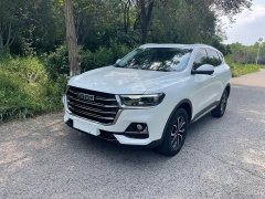 Haval H6 2023 National Trend Edition 1.5T Automatic Urban Version - ფოტო 1