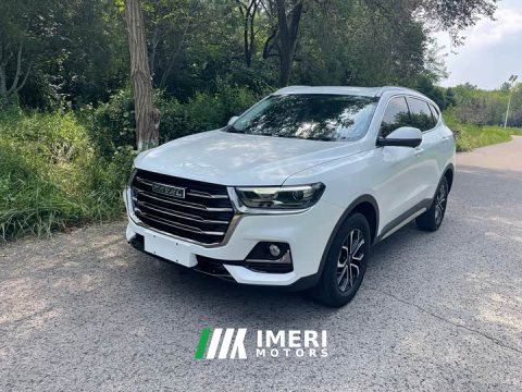 2024 Haval H6 2023 National Trend Edition 1.5T Automatic Urban Version - ავტომობილი ჩინეთიდან