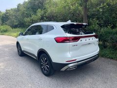 Haval H6 2023 National Trend Edition 1.5T Automatic Urban Version - ფოტო 17