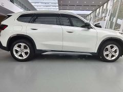 BMW X1 sDrive20Li X Design Package - ფოტო 8