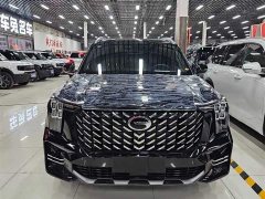 GAC Aion GS8 2025 Pioneer Series 2.0T GDI FWD Luxury 5-Seater - ფოტო 2