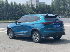Haval Chitu Jingxiang Edition 1.5T Purple Copper Rabbit - ფოტო 11