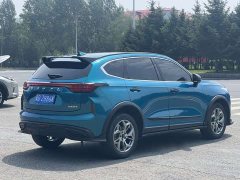 Haval Chitu Jingxiang Edition 1.5T Purple Copper Rabbit - ფოტო 13