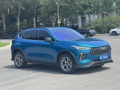 Haval Chitu Jingxiang Edition 1.5T Purple Copper Rabbit - ფოტო 2